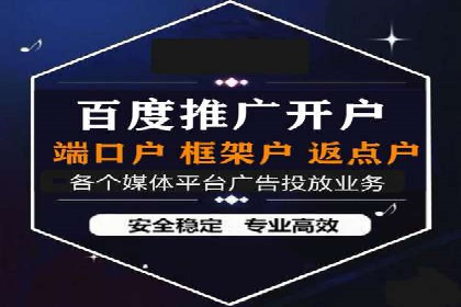 竞价排名在电商行业的实战案例